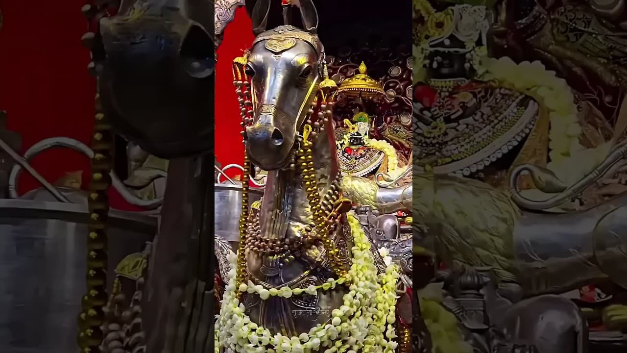 श्री राधारमण रथयात्रा भाव🌸 #radharaman